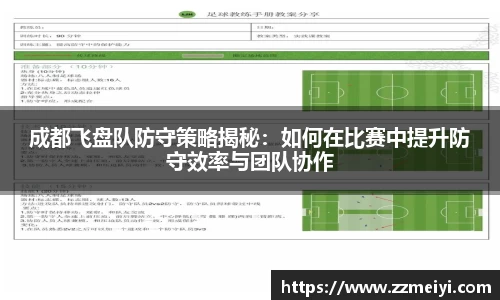 成都飞盘队防守策略揭秘:如何在比赛中提升防守效率与团队协作